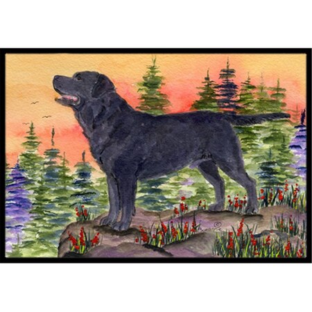 Carolines Treasures 18 x 27 in. Labrador Indoor Outdoor Doormat SS8624MAT